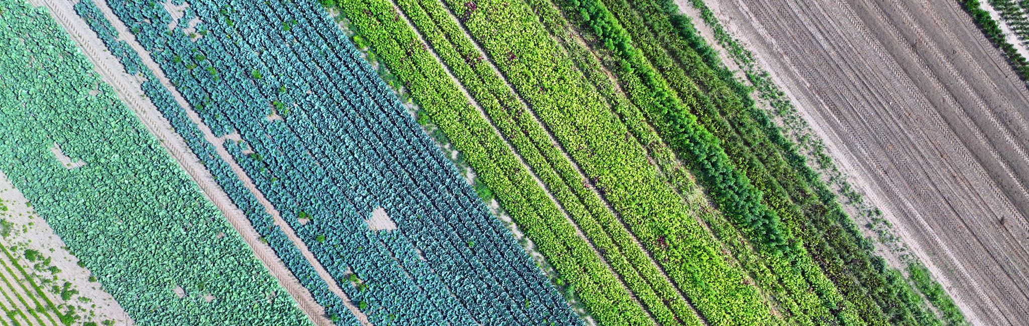 Header - actualités Asset Management