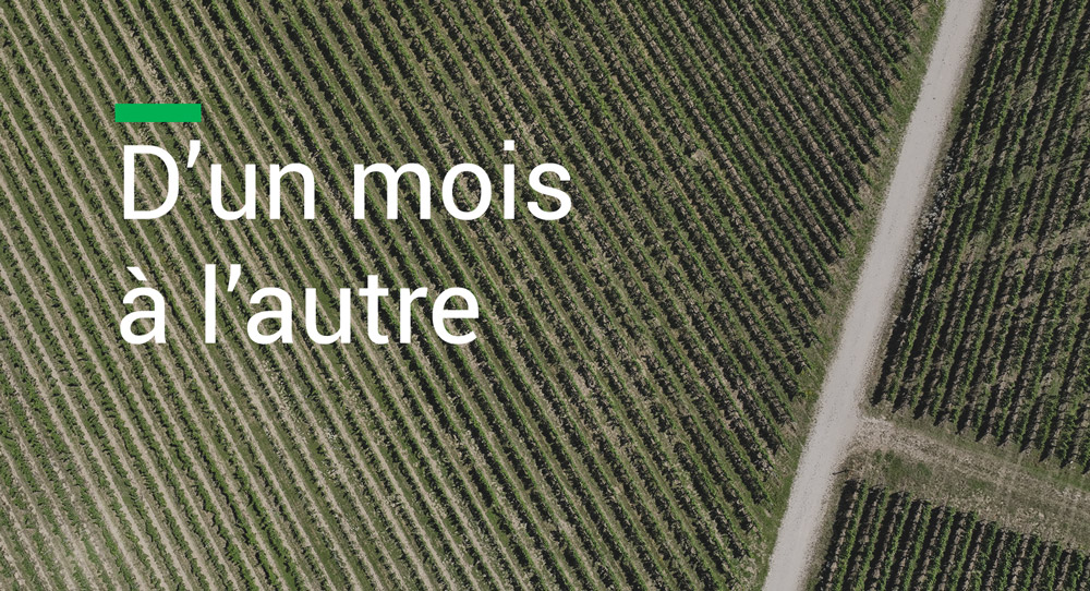 Publication - D'un mois à l'autre