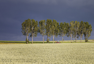 BCV - Publication des rapports 2025 de la BCV