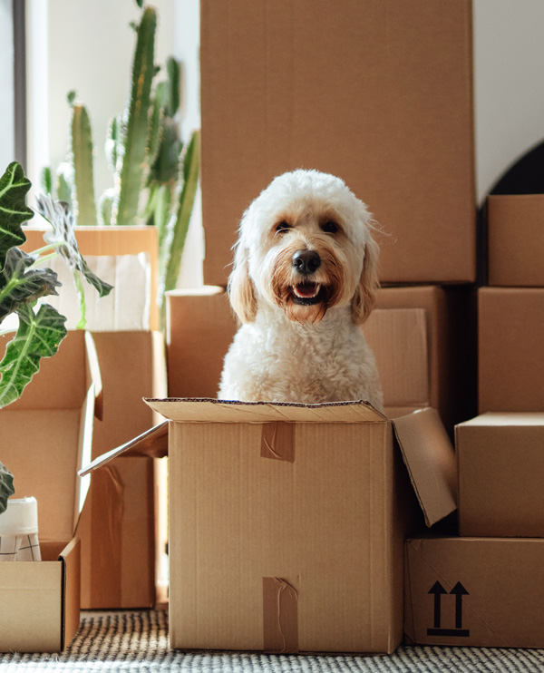 Header - Compte garantie de loyer