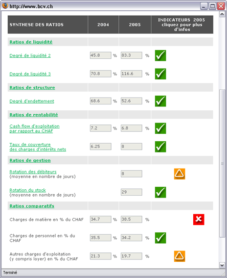 check-up financier - exemple de tableau d'analyse